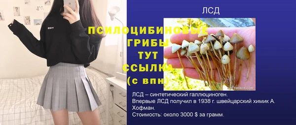 спайс Абинск
