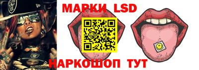 apvp Можга