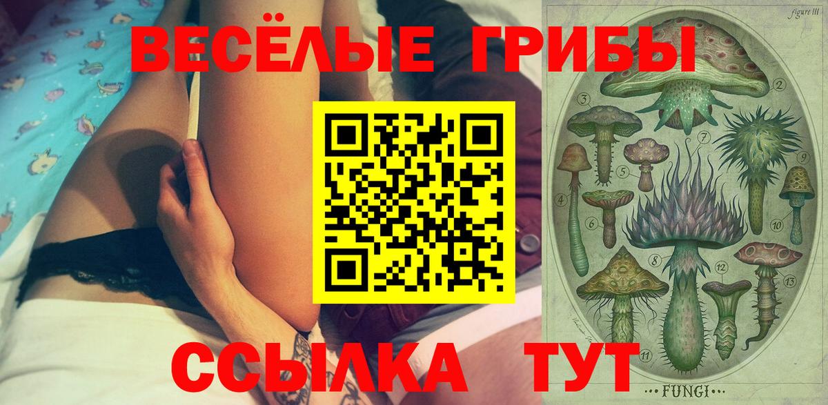 Галлюциногенные грибы Psilocybine cubensis Богданович