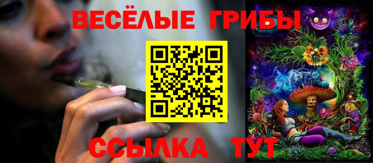 магазин продажи наркотиков  Вход с VPN  Богданович  Галлюциногенные грибы мицелий 
