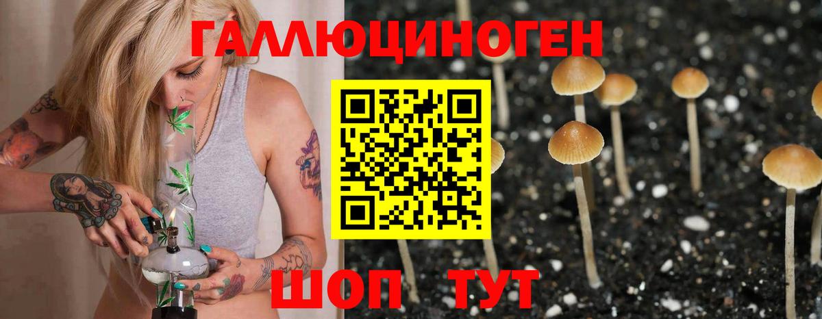 Меф кристаллы  Марихуана  Богданович  ГАШИШ  Вход с VPN 