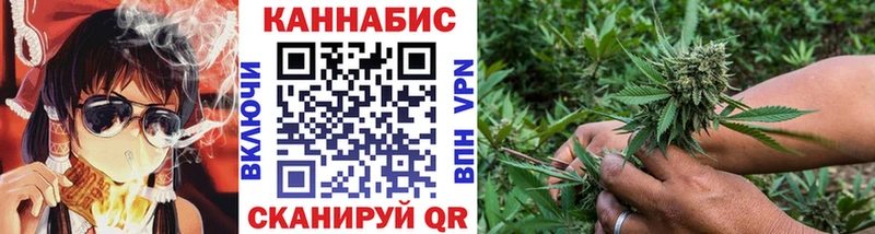 Конопля планчик  мега ССЫЛКА  Богданович 